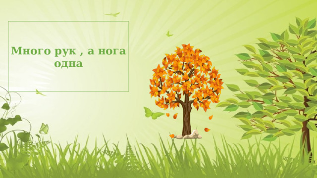 Много рук , а нога одна 