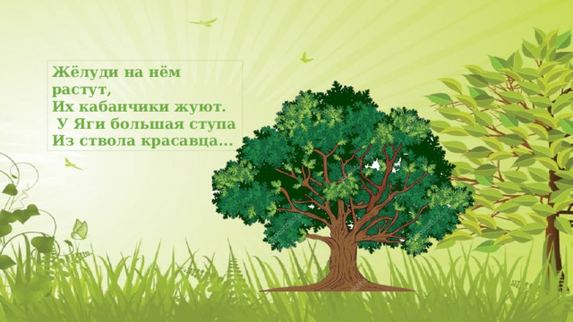 Жёлуди на нём растут, Их кабанчики жуют.  У Яги большая ступа Из ствола красавца... 