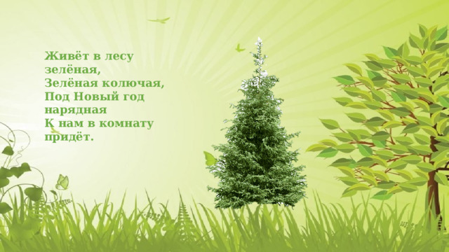 Живёт в лесу зелёная, Зелёная колючая, Под Новый год нарядная К нам в комнату придёт. 