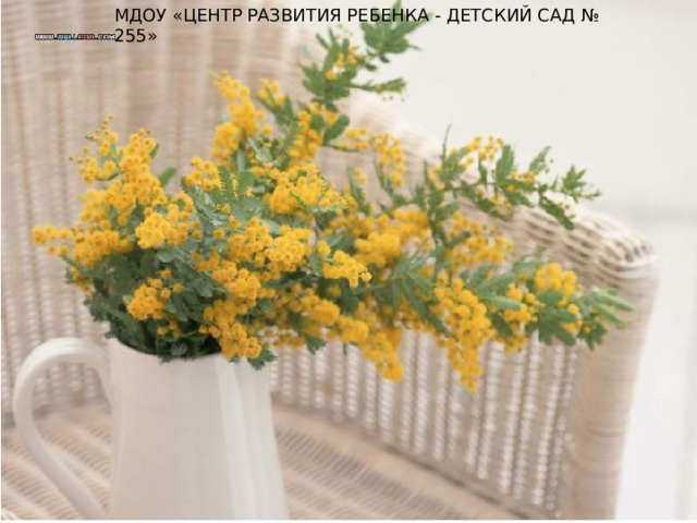 МДОУ «ЦЕНТР РАЗВИТИЯ РЕБЕНКА - ДЕТСКИЙ САД № 255» 