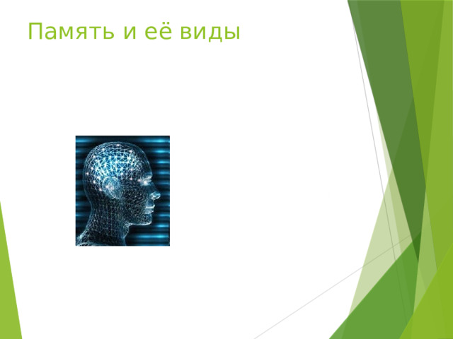 Память и её виды 