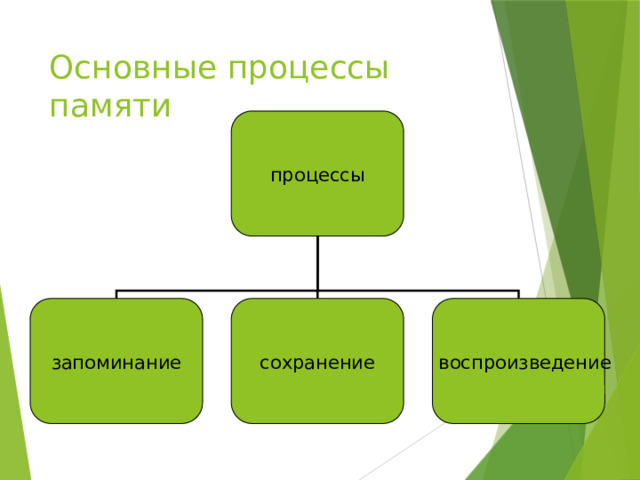 Основные процессы памяти процессы запоминание сохранение воспроизведение 