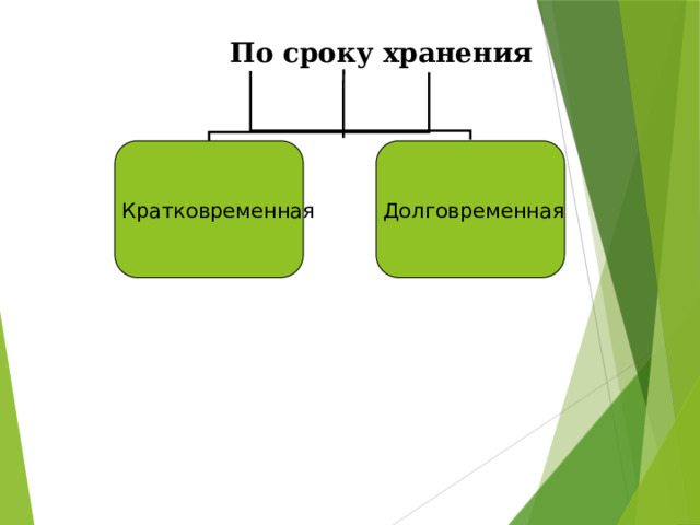 По сроку хранения  Кратковременная Долговременная 