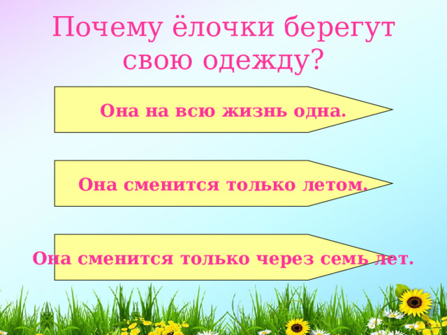  Почему ёлочки берегут свою одежду?    Она на всю жизнь одна.   Она сменится только летом.   Она сменится только через семь лет.  