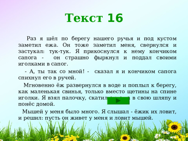 Текст 16  Раз я шёл по берегу нашего ручья и под кустом заметил ежа. Он тоже заметил меня, свернулся и застукал: тук-тук. Я прикоснулся к нему кончиком сапога - он страшно фыркнул и поддал своими иголками в сапог.  - А, ты так со мной! - сказал я и кончиком сапога спихнул его в ручей.  Мгновенно ёж развернулся в воде и поплыл к берегу, как маленькая свинья, только вместо щетины на спине иголки. Я взял палочку, скатил ею ежа в свою шляпу и понёс домой.  Мышей у меня было много. Я слышал - ёжик их ловит, и решил: пусть он живет у меня и ловит мышей.  