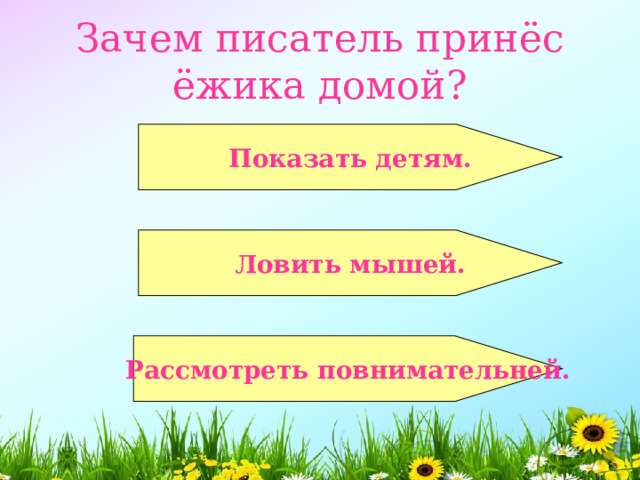  Зачем писатель принёс ёжика домой?    Показать детям.   Ловить мышей.   Рассмотреть повнимательней.  