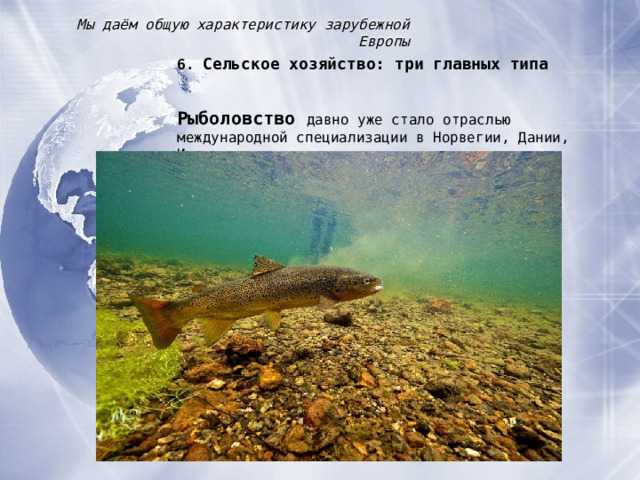 Мы даём общую характеристику зарубежной Европы 6.  Сельское хозяйство : три главных типа Рыболовство давно уже стало отраслью международной специализации в Норвегии, Дании, Исландии. 
