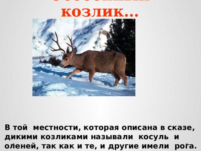 Особенный козлик… В той местности, которая описана в сказе, дикими козликами называли косуль и оленей, так как и те, и другие имели рога. 