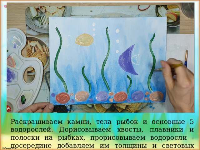 Раскрашиваем камни, тела рыбок и основные 5 водорослей. Дорисовываем хвосты, плавники и полоски на рыбках, прорисовываем водоросли - посередине добавляем им толщины и световых пятен жёлтым цветом. 