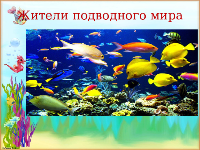 Жители подводного мира 