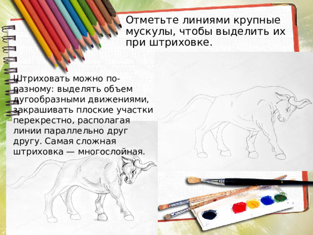 Отметьте линиями крупные мускулы, чтобы выделить их при штриховке. Штриховать можно по-разному: выделять объем дугообразными движениями, закрашивать плоские участки перекрестно, располагая линии параллельно друг другу. Самая сложная штриховка — многослойная. 