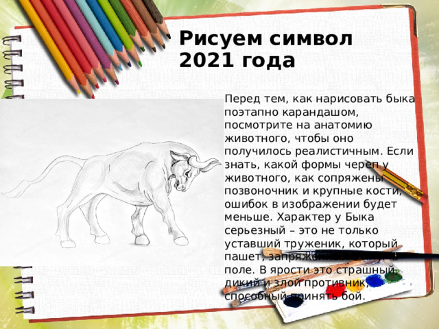 Рисуем символ 2021 года Перед тем, как нарисовать быка поэтапно карандашом, посмотрите на анатомию животного, чтобы оно получилось реалистичным. Если знать, какой формы череп у животного, как сопряжены позвоночник и крупные кости, ошибок в изображении будет меньше. Характер у Быка серьезный – это не только уставший труженик, который пашет, запряженный в плуг в поле. В ярости это страшный, дикий и злой противник, способный принять бой. 