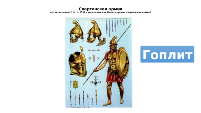 Спартанская армия  прочитать пункт 3 (стр. 153) и рассказать как была устроена спартанская армия?    Гоплит 