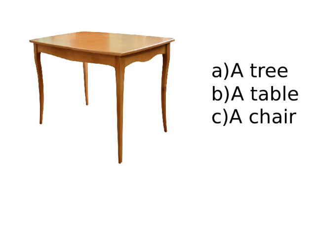 A tree A table A chair 