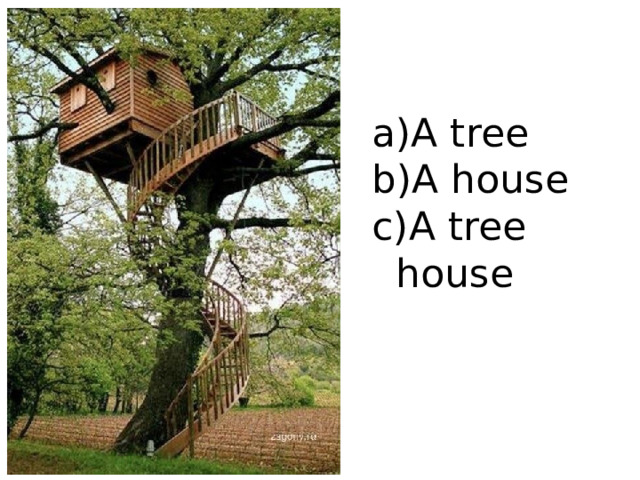 A tree A house A tree house 