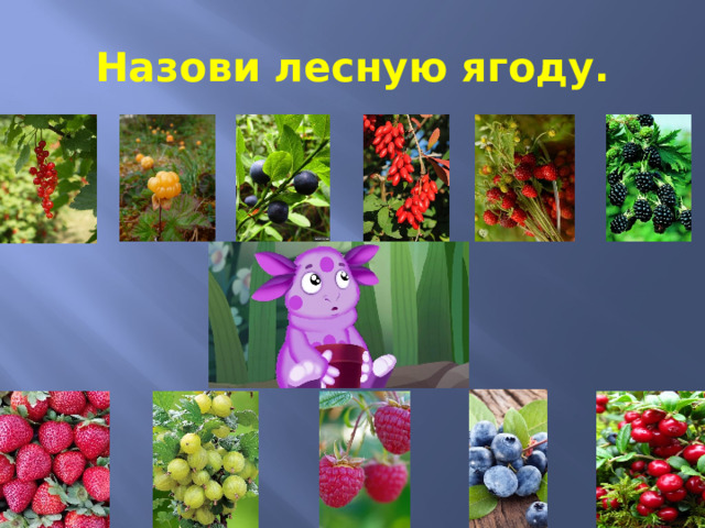 Назови лесную ягоду. 