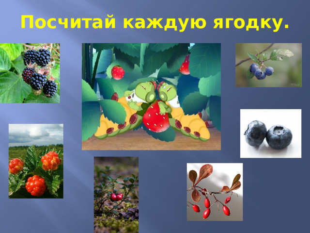Посчитай каждую ягодку. 
