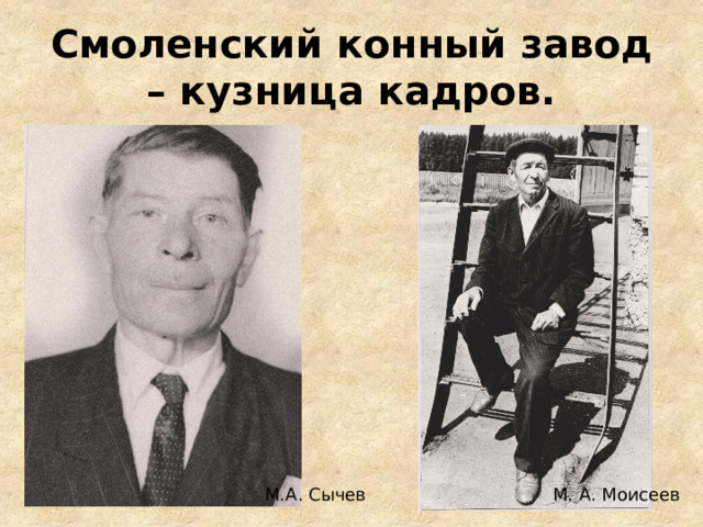 Смоленский конный завод – кузница кадров. М. А. Моисеев М.А. Сычев 