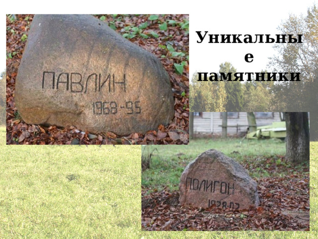 Уникальные памятники 