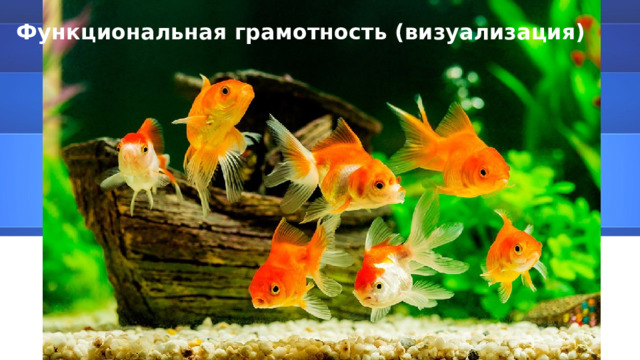 Функциональная грамотность (визуализация) Щелкните значок, чтобы добавить фото 01/11/2023 30 ДОБАВИТЬ НИЖНИЙ КОЛОНТИТУЛ 