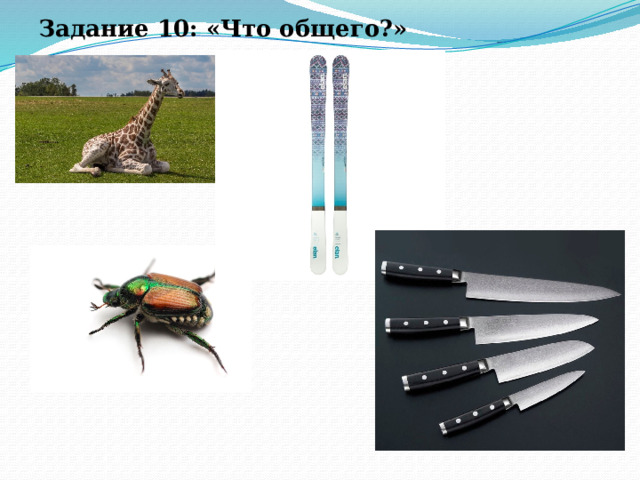 Задание 10: «Что общего?» 