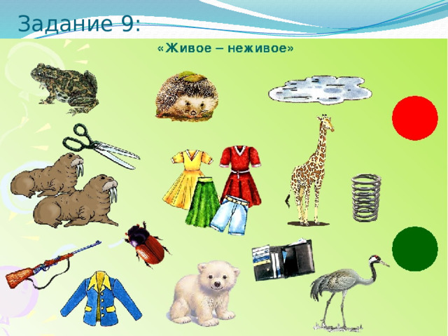 Задание 9: 