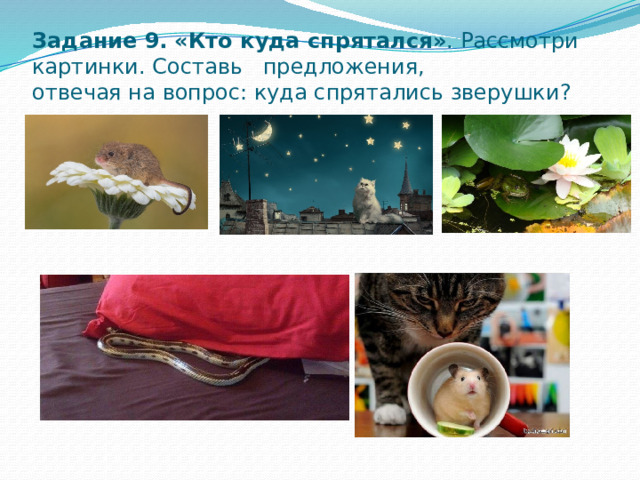 Задание 9.  «Кто куда спрятался» . Рассмотри картинки. Составь предложения,  отвечая на вопрос: куда спрятались зверушки?   