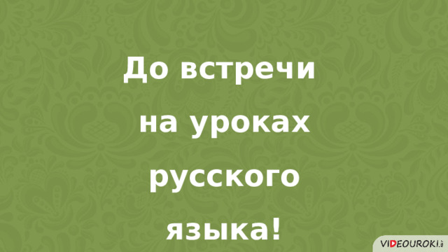 До встречи на уроках русского языка!  