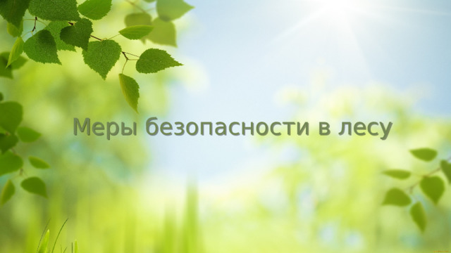 Меры безопасности в лесу   