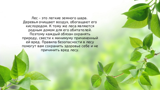 Лес – это легкие земного шара. Деревья очищают воздух, обогащают его кислородом. К тому же леса являются родным домом для его обитателей. Поэтому каждый обязан охранять природу, свести к минимуму причиненный ей вред. Правила безопасности в лесу помогут вам сохранить здоровье себе и не причинить вред лесу. 