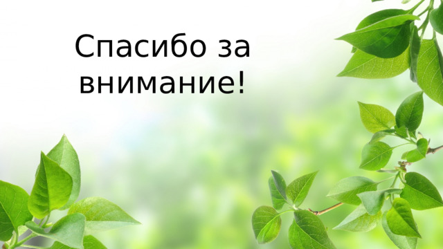 Спасибо за внимание! 