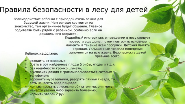 Правила безопасности в лесу для детей Взаимодействие ребенка с природой очень важно для будущей жизни. Чем раньше состоится их знакомство, тем органичнее будет общение. Главное родителям быть рядом с ребенком, особенно если он дошкольного возраста. Подробный инструктаж о поведении в лесу следует провести еще дома, потом повторять основные моменты в течение всей прогулки. Детская память хорошая. Услышанные правила поведения запомнятся на всю жизнь. Безопасность детей превыше всего. Ребенок не должен: отходить от взрослых; брать в рот найденные плоды (грибы, ягоды и т.д.); без надобности громко шуметь; в условиях дождя с громом пользоваться сотовым телефоном; ворошить муравейники, разорять птичьи гнезда, то есть наносить вред природе; контактировать с лесными обитателями, они могут нанести увечья либо заразить болезнью; кормить зверей с рук. 