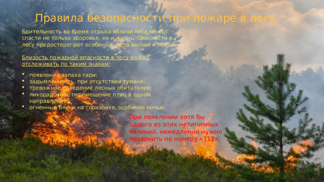 Правила безопасности при пожаре в лесу Бдительность во время отдыха вблизи леса может спасти не только здоровье, но и жизнь. Опасности в лесу предостерегают особенно часто весной и летом. Близость пожарной опасности в лесу можно отслеживать по таким знакам: появление запаха гари; задымленность, при отсутствии тумана; тревожное поведение лесных обитателей; лихорадочное перемещение птиц в одном направлении; огненные блики на горизонте, особенно ночью. При появлении хотя бы одного из этих нетипичных явлений, немедленно нужно позвонить по номеру «112». 