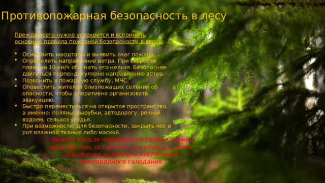 Противопожарная безопасность в лесу Прежде всего нужно успокоится и вспомнить основные правила пожарной безопасности в лесах: Осмыслить масштабы и выявить очаг пожара. Определить направление ветра. При скорости пламени 10 км/ч обогнать его нельзя. Безопаснее двигаться перпендикулярно направлению ветра. Позвонить в пожарную службу, МЧС. Оповестить жителей близлежащих селений об опасности, чтобы оперативно организовать эвакуацию. Быстро переместиться на открытое пространство, а именно: поляны, вырубки, автодорогу, речной водоем, сельхоз угодья. При возможности, для безопасности, закрыть нос и рот влажной тканью либо маской. Важно! Нельзя поддаваться панике. Нужно идти быстро, осторожно, нагибаясь к земле. Последнее нужно для исключения кислородного голодания. 