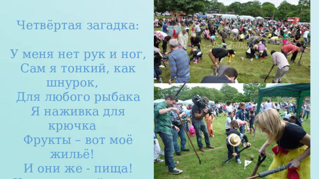 Четвёртая загадка: У меня нет рук и ног, Сам я тонкий, как шнурок, Для любого рыбака Я наживка для крючка Фрукты – вот моё жильё! И они же - пища! Червоточиной зовут Вход в моё жилище! 
