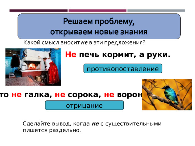 Не печь кормит, а руки. противопоставление Это не галка, не сорока, не ворона. отрицание Сделайте вывод, когда не с существительными пишется раздельно. 