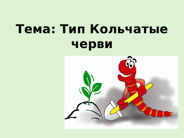 Тема: Тип Кольчатые черви 