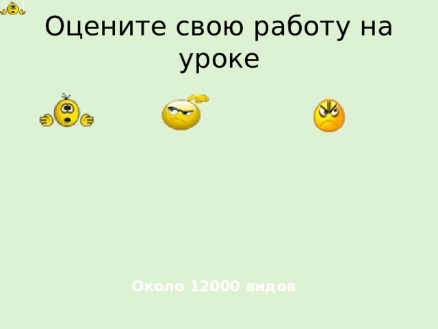Оцените свою работу на уроке Около 12000 видов 