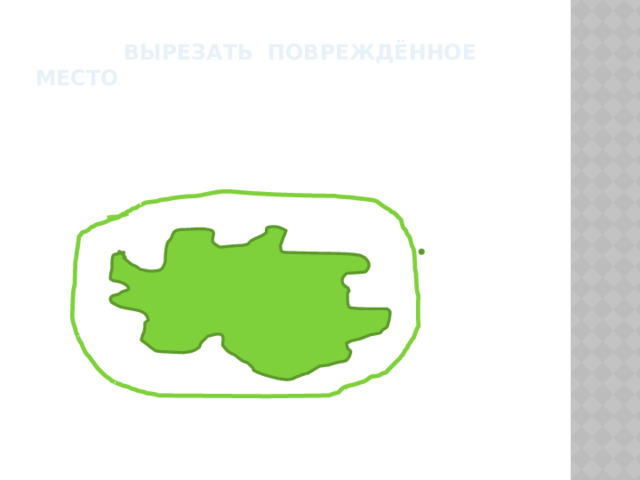  вырезать повреждённое место .  