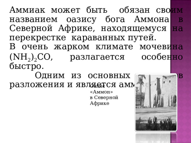 Аммиак может быть обязан своим названием оазису бога Аммона в Северной Африке, находящемуся на перекрестке караванных путей. В очень жарком климате мочевина (NH 2 ) 2 CO, разлагается особенно быстро.   Одним из основных продуктов разложения и является аммиак. Оазис «Аммон» в Северной Африке 
