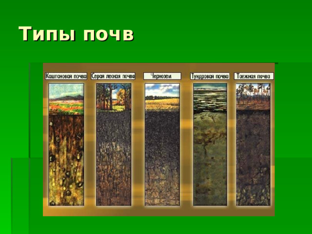 Типы почв  