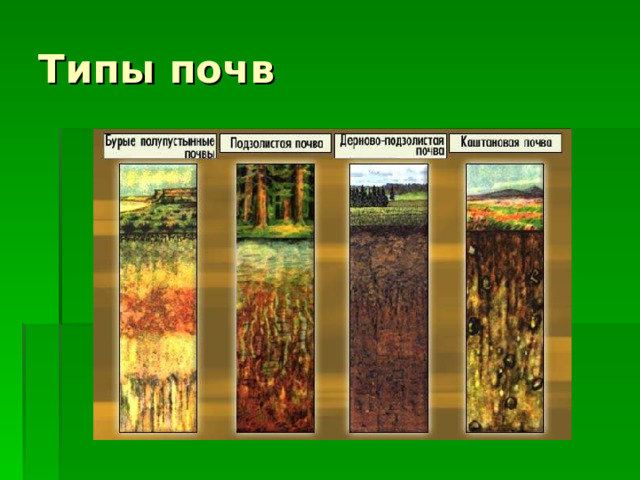 Типы почв  