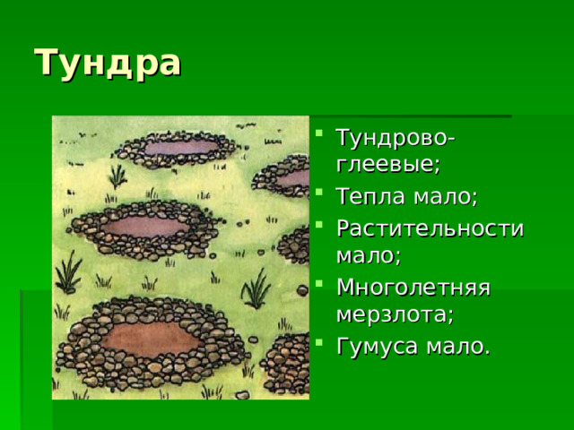Тундра Тундрово-глеевые; Тепла мало; Растительности мало; Многолетняя мерзлота; Гумуса мало.  