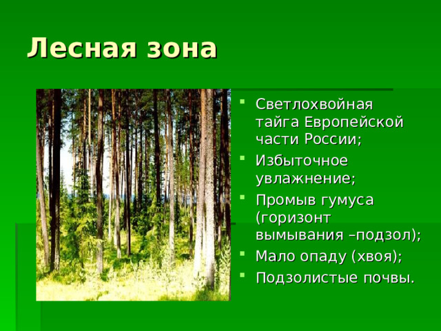 Лесная зона Светлохвойная тайга Европейской части России; Избыточное увлажнение; Промыв гумуса (горизонт вымывания –подзол); Мало опаду (хвоя); Подзолистые почвы.  