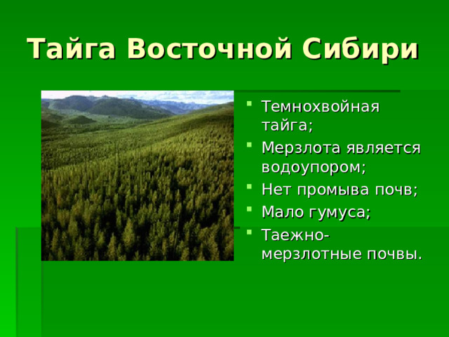 Тайга Восточной Сибири Темнохвойная тайга; Мерзлота является водоупором; Нет промыва почв; Мало гумуса; Таежно-мерзлотные почвы.   