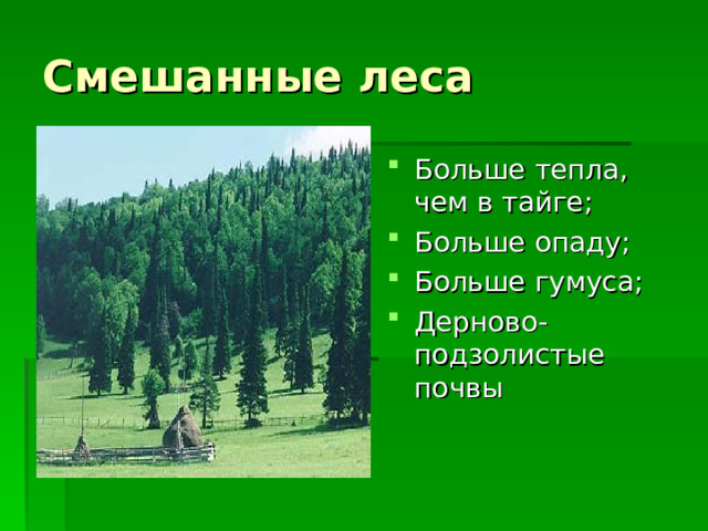 Смешанные леса Больше тепла, чем в тайге; Больше опаду; Больше гумуса; Дерново-подзолистые почвы  