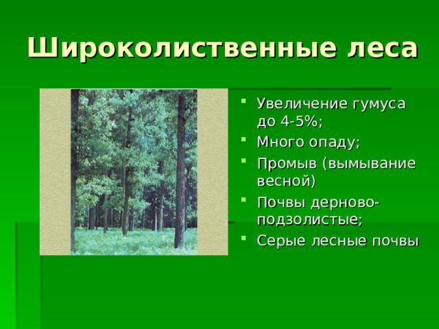 Широколиственные леса Увеличение гумуса до 4-5%; Много опаду; Промыв (вымывание весной) Почвы дерново-подзолистые; Серые лесные почвы  