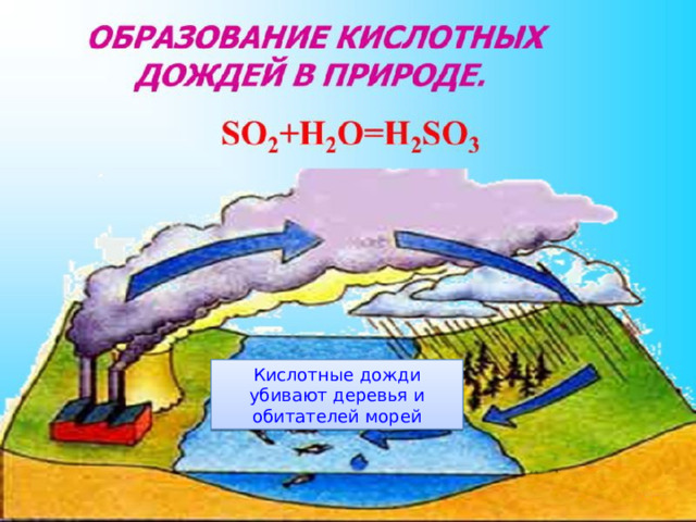 Кислотные дожди убивают деревья и обитателей морей 