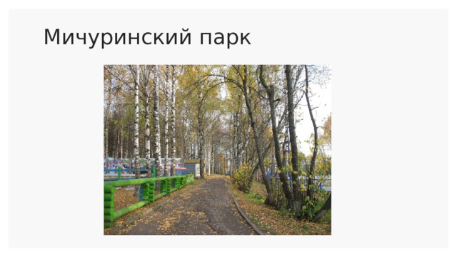 Мичуринский парк   