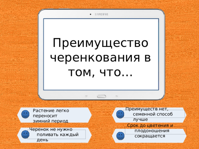 Преимущество черенкования в том, что… Растение легко переносит зимний период Преимуществ нет, семенной способ лучше Срок до цветения и плодоношения сокращается Черенок не нужно поливать каждый день 